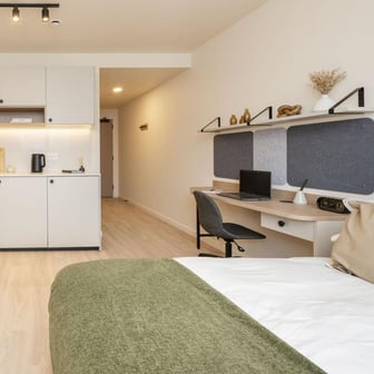 Large Premium Studio - Image 3