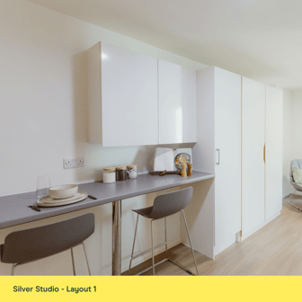 Silver Studio - Image 4