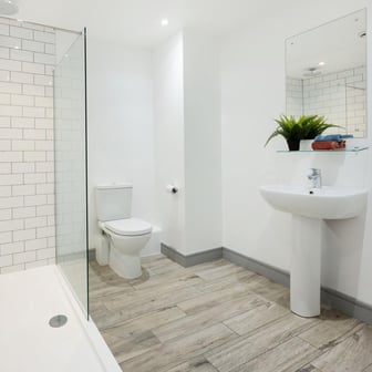 Standard Plus Studio - Image 5