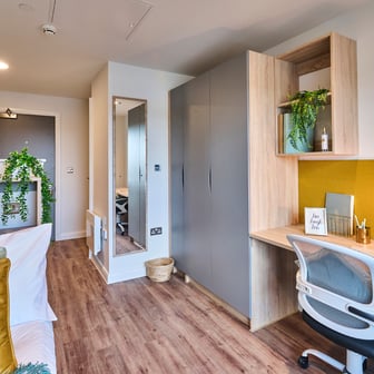 Studio Gold Plus - Image 1