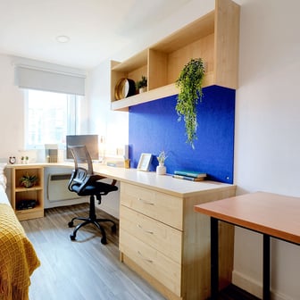 Studio standard - Image 1