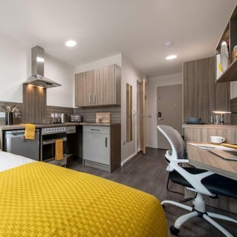 Studio Classic - Image 1