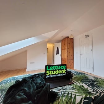 Room 11 Luxury En Suite in 11 bed house - Image 3