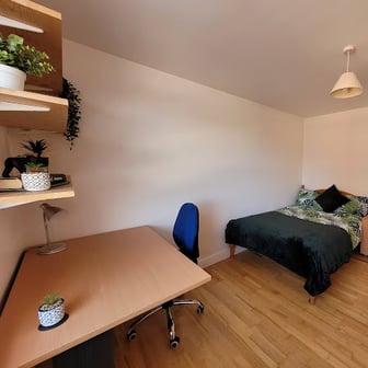 Room 7 in 12 bed house - Image 2