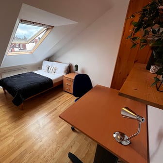 Room 9 in 12 bed house - Image 1