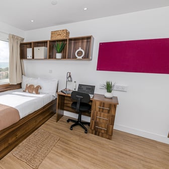 Platinum Studio Plus - Image 4