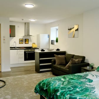 Extra Large Studio Flat - Image 2