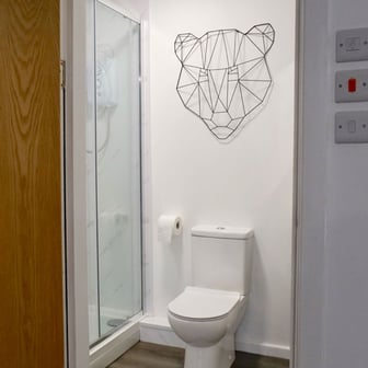Extra Large Studio Flat - Image 4