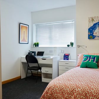 Large Ensuite Room- MB129 (Reserved for 2nd Year or more Students) - Image 1