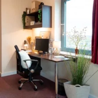 Deluxe Student Studio - Image 6