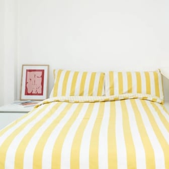 Standard Studio Plus - Image 1