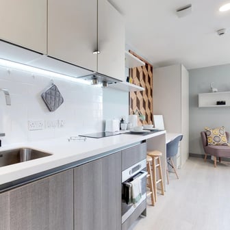 Deluxe Plus Studio - Image 5