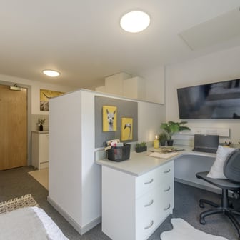 Standard Studio - Image 3