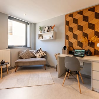 Deluxe Plus Studio - Image 4