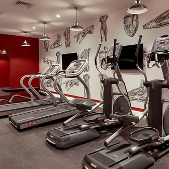 Executive Studio Plus - Image 8