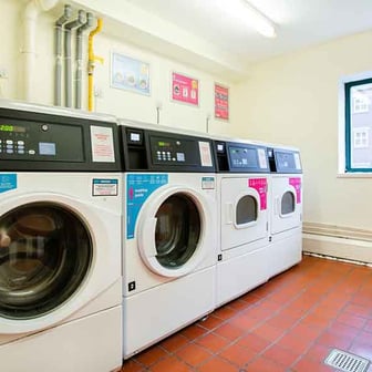 Standard Shared - Image 4