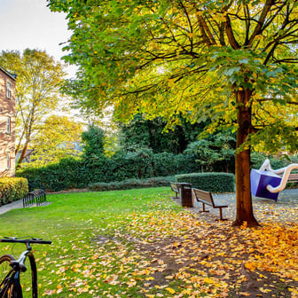 Enhanced Standard Shared - Image 5