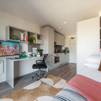 Luxe Studio Plus - Image 1