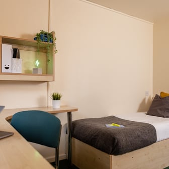 Standard Plus - Image 1