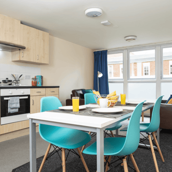 Platinum Plus - Image 4