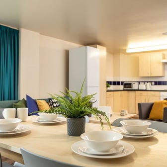 Bronze Plus - Image 5