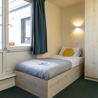 Bronze Plus - Image 1