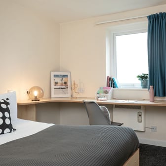 Platinum Plus - Image 1