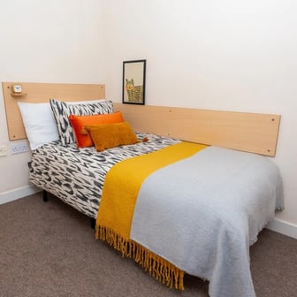 Standard - Image 1