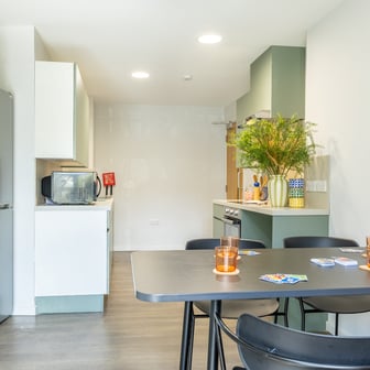 Platinum En suite Two Bed Flat - Image 6