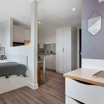 Studio Gold - Image 2