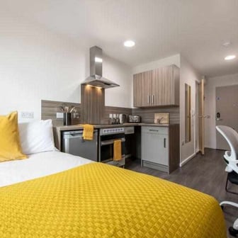 Studio Bronze - Image 1