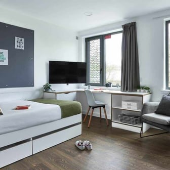 Gold Studio - Image 2