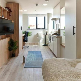 Accessible Platinum Plus Studio - Image 2