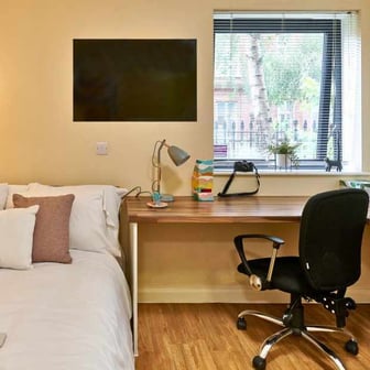 Studio Classic - Image 2