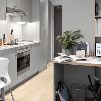 Studio Silver Premium Accessible - Image 1