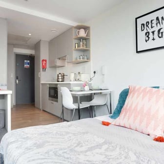 Studio Superior Plus - Image 4