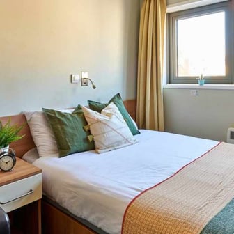 Studio Classic - Image 2