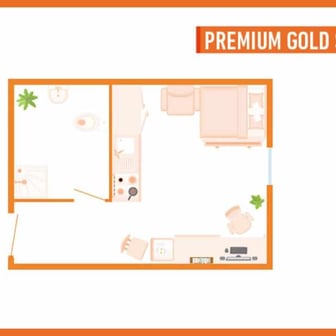 Premium Gold Studio - Image 2