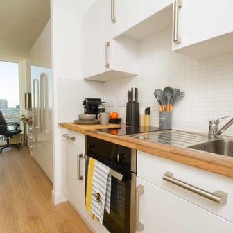 Skyline Large Deluxe Studio - Image 3