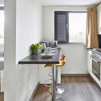 Studio Classic Accessible - Image 3