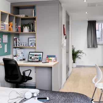 Studio Gold Deluxe - Image 4