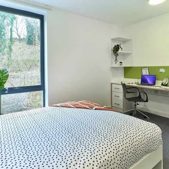 Studio Gold - Image 3