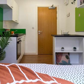 Studio Gold - Image 6