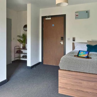 Flat One Bed Gold - Image 2