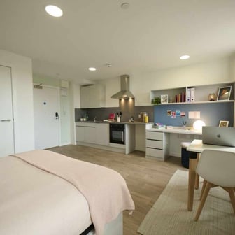 Silver Studio Accessible - Image 8