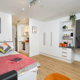 Large Deluxe Studio - Image 7