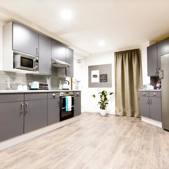 Deluxe Studio - Image 4