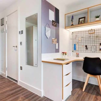 Studio Gold - Image 4