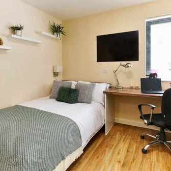 Studio Premium - Image 2