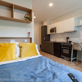 Classic Studio Plus - Image 2